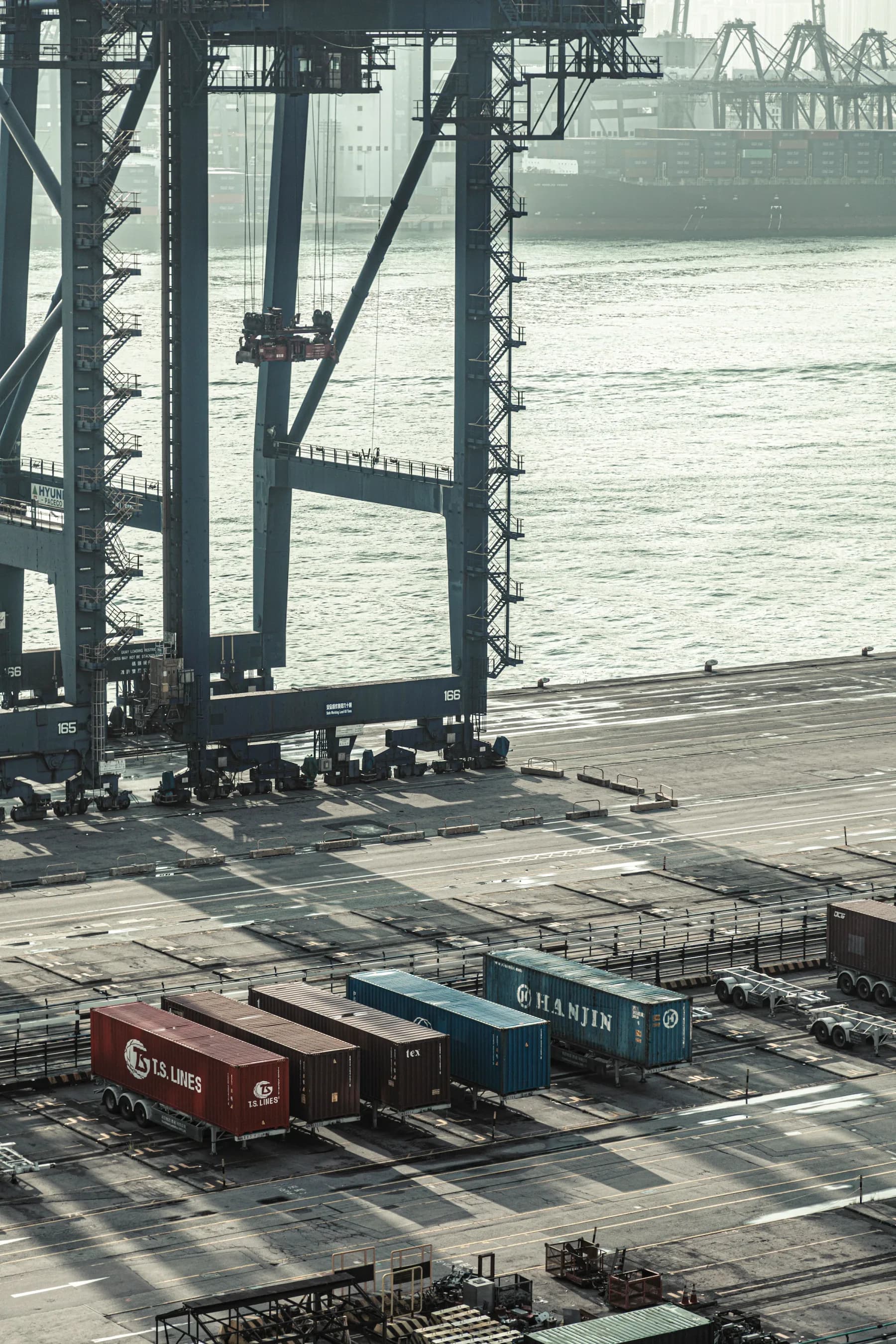 Cargo cranes handling containers at a major port